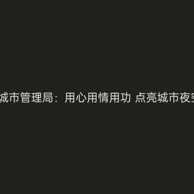 市城市管理局：用心用情用功 点亮城市夜空